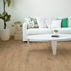 Plancher Flottant 12 mm / BMB / Authentic Nature